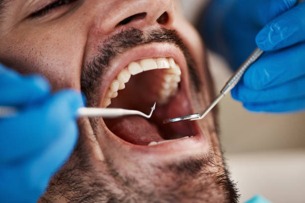 Best Same-Day Emergency Dental Services in Fishhook, AK
